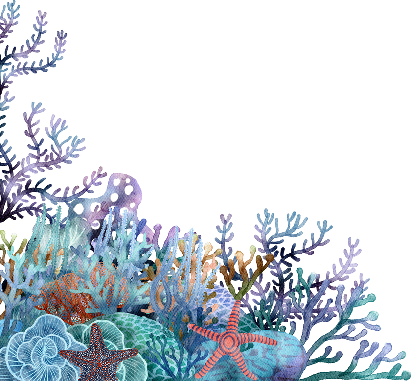 under ocean life element with watercolor painted , Coral ree