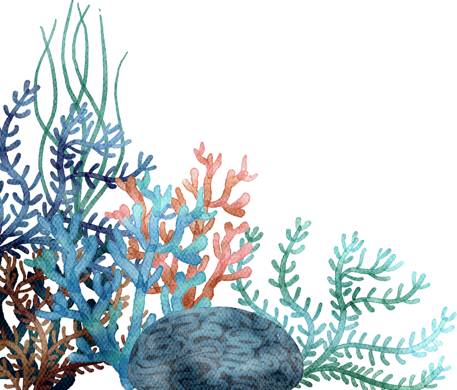 under ocean life element with watercolor painted , Coral ree