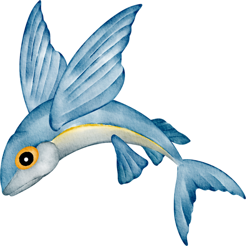 watercolor flying fish