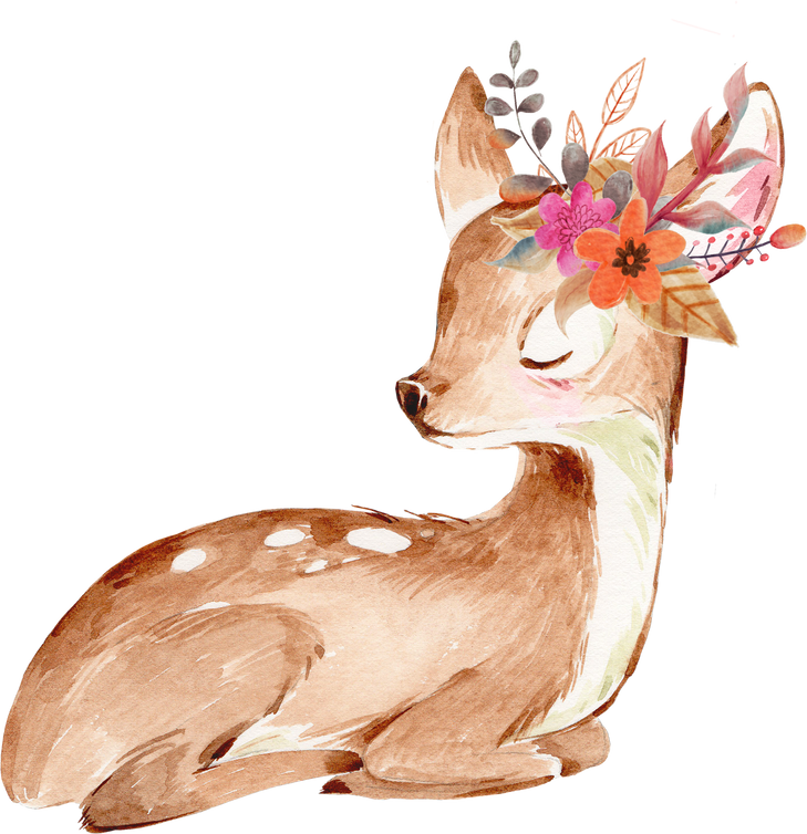 Cute Sleeping Deer with Flowers