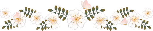 Soft Painting White Wild Rose Flower Line Border