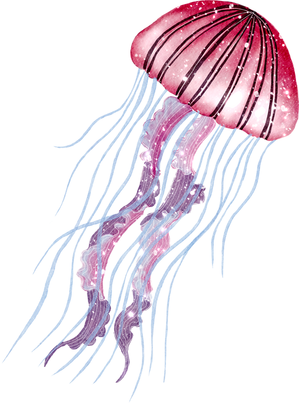 Jellyfish Watercolor,Marine Life